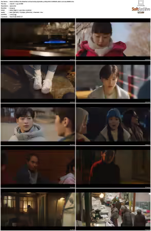 When the Weather Is Fine S01 1080p HULU WEB-DL AAC2.0 H264-MARK
