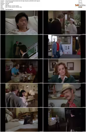 Simon and Simon S01-S08 1080p Blu-ray 10Bit DDP2.0 HEVC-d3g