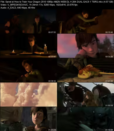 How to Train Your Dragon 2010 1080p AMZN WEB-DL H264 DUAL EAC 5.1 TSRG
