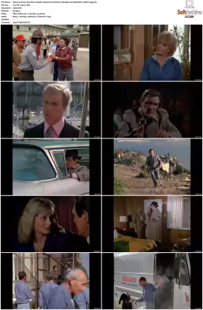 Simon and Simon S01-S08 1080p Blu-ray 10Bit DDP2.0 HEVC-d3g