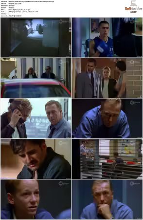 Water Rats S01-S06 WEB-DL AAC2.0 H264-BTN