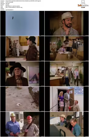 Simon and Simon S01-S08 1080p Blu-ray 10Bit DDP2.0 HEVC-d3g