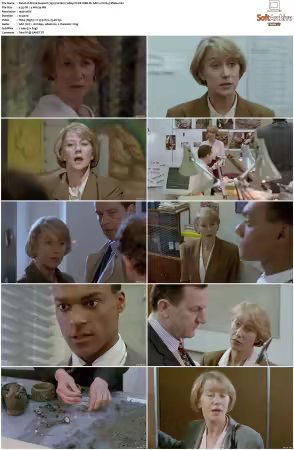Prime Suspect 1991 S01 S07 1080p PCOK WEB-DL AAC2.0 H264-Vialle