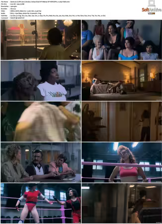 GLOW 2017 S01 S03 1080p DS4K NF Webrip DV HDR DDP5 1 x265-Vialle
