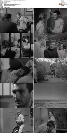 Voyage to the Bottom of the Sea 1964-1968 S01 S04 DVDRip XviD-NOGRP