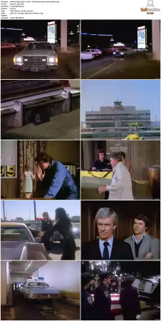 Vegas 1978 S01 S03 480p DVDRip HEVC AAC 2 0 DreadParrot