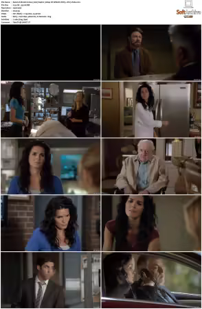 Rizzoli and Isles 2010 S01-S07 1080p NF WEB-DL DDP5.1 AV1-Vialle