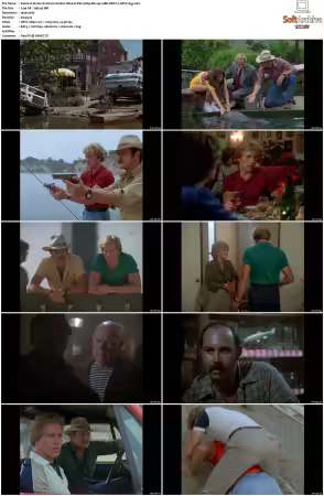 Simon and Simon S01 S08 1080p Blu-ray 10Bit DDP2.0 HEVC-d3g