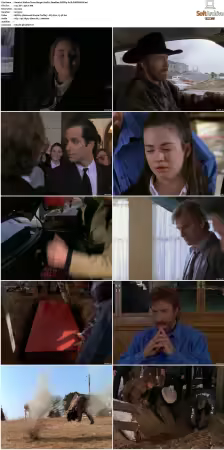 Walker Texas Ranger S01-S09 DVDRip XviD-Mixed