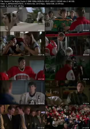 The Mighty Ducks 3 1996 1080p WEB-DL HEVC x265 5.1 BONE