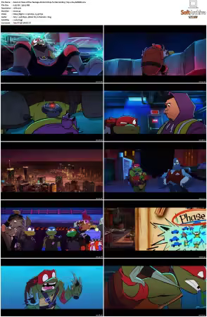 Tales of the Teenage Mutant Ninja Turtles S02 720p x264-AMBER