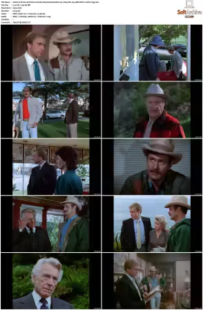 Simon and Simon S01-S08 1080p Blu-ray 10Bit DDP2.0 HEVC-d3g