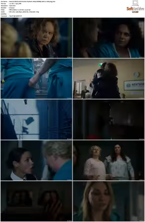 Wentworth S01-S09 1080p WEB h265-d3g