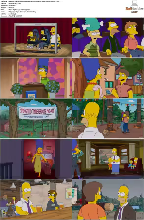 The Simpsons S31 1080p Web-DL x264-OFT
