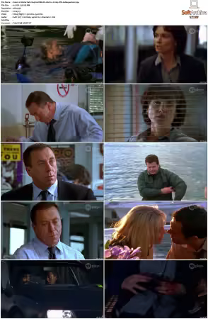 Water Rats S01-S06 WEB-DL AAC2.0 H264-BTN