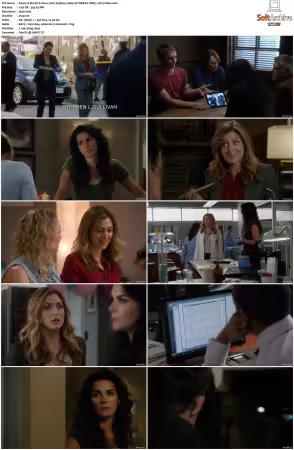 Rizzoli and Isles 2010 S01-S07 1080p NF WEB-DL DDP5.1 AV1-Vialle