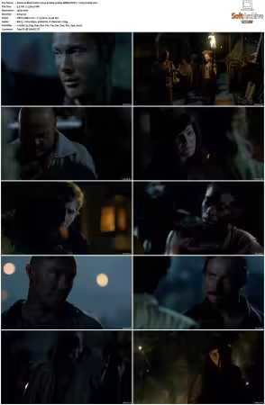Black Sails 2014 S01-S04 1080p BDRip DDP7.1 x265-Vialle
