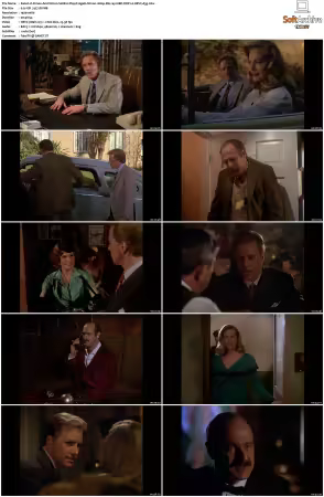 Simon and Simon S01-S08 1080p Blu-ray 10Bit DDP2.0 HEVC-d3g