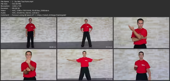 Wingtsun Basic Level