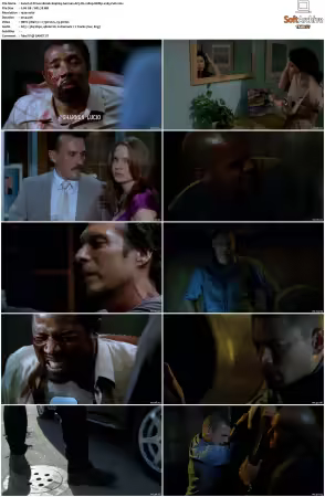 Prison Break S01-S05 German AC3 DL 1080p BDRip x265-FuN