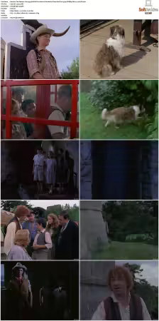 The Famous Five 1995 S01 S02 576p DVDRip DD2.0 x264-DS