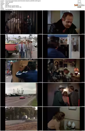 Simon and Simon S01 S08 1080p Blu-ray 10Bit DDP2.0 HEVC-d3g