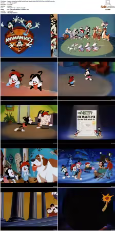 Animaniacs 1993 S01-S05 1080p UPSCALED DD 5.1 x265-EDGE2020