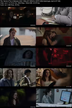 The In Between 2022 1080p NF WEB-DL DDP 5.1 H264-DarkAngeL