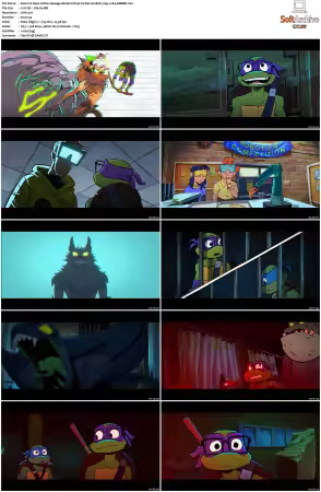 Tales of the Teenage Mutant Ninja Turtles S02 720p x264-AMBER