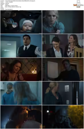 Wentworth S01-S09 1080p WEB h265-d3g