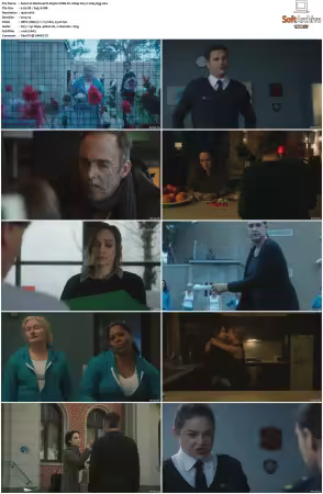Wentworth S01-S09 1080p WEB h265-d3g