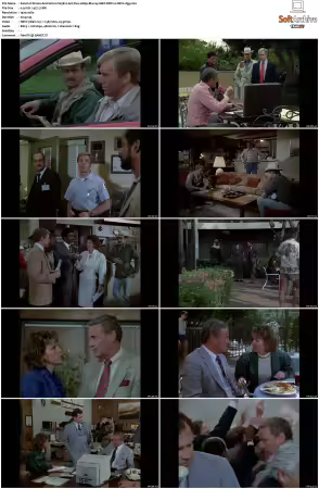 Simon and Simon S01-S08 1080p Blu-ray 10Bit DDP2.0 HEVC-d3g