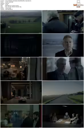 Wallander 2008 S01 S04 1080p BDRip DDP5.1 x265-Vialle