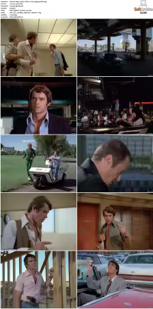 Vegas 1978 S01-S03 480p DVDRip HEVC AAC 2.0 DreadParrot