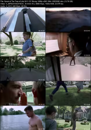 The Tree of Life 2011 CC Bluray 1080p x265 10bit -SSDSSE