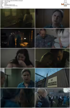 Wentworth S01 S09 1080p WEB h265-d3g