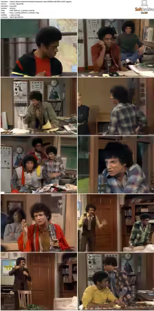 Welcome Back Kotter S01-S04 1080p WEBRip 10Bit DDP2.0 HEVC-d3g
