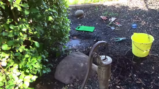 Drip Irrigation MasterClass for Beginners