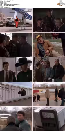 Walker Texas Ranger S01-S09 DVDRip XviD-Mixed