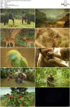 Wildest Islands S01 S02 1080p WEB-DL H264-KUSH