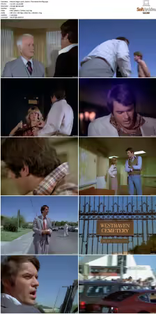 Vegas 1978 S01-S03 480p DVDRip HEVC AAC 2.0 DreadParrot