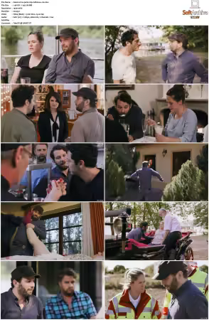 Jerks S01 S05 German 1080p WEB H264-Mixed