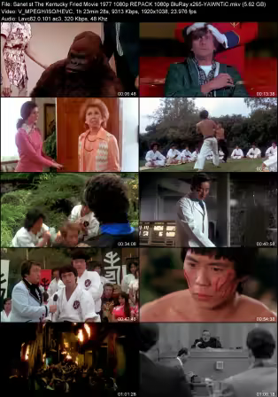 The Kentucky Fried Movie 1977 1080p REPACK 1080p BluRay x265-YAWNTiC