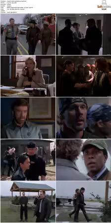 Walker Texas Ranger S01-S09 DVDRip XviD-Mixed