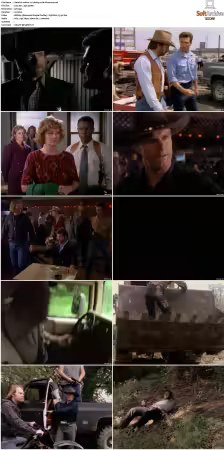 Walker Texas Ranger S01 S09 DVDRip XviD-Mixed