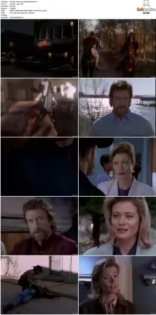 Walker Texas Ranger S01-S09 DVDRip XviD-Mixed