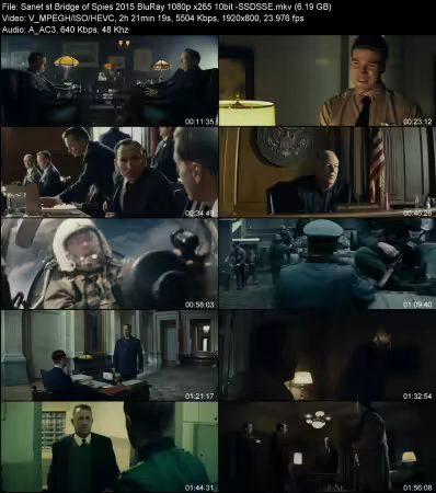 Bridge of Spies 2015 BluRay 1080p x265 10bit -SSDSSE