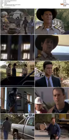 Walker Texas Ranger S01-S09 DVDRip XviD-Mixed