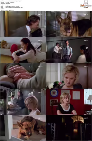 Kommissar Rex S01 S10 German 1080p HDTV x264-OMGtv