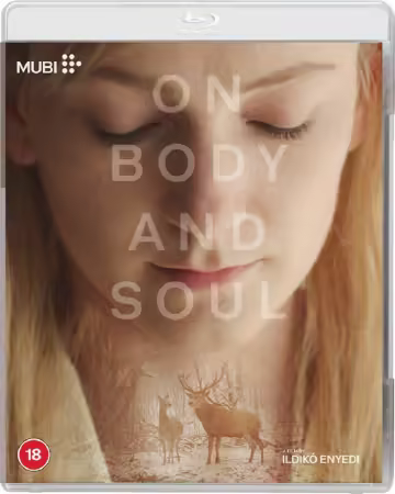 On Body and Soul 2017 1080p BluRay x264-AMORT